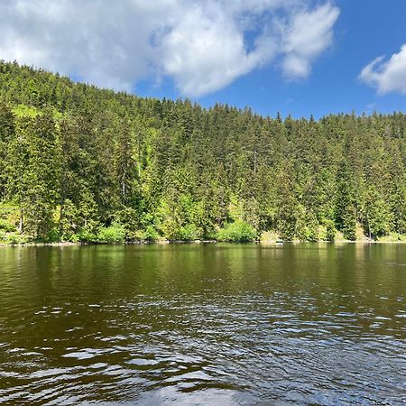 An Wanderwegen Gelegen Mit Terrasse Und Boxspringbett Apartment Sasbachwalden Luaran gambar