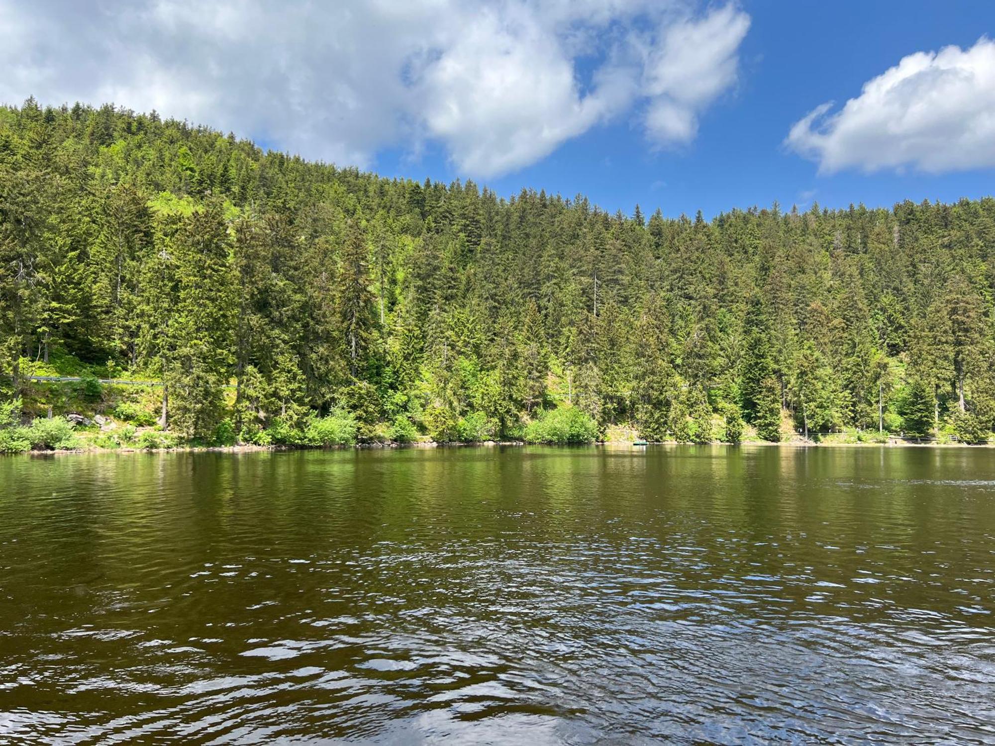 An Wanderwegen Gelegen Mit Terrasse Und Boxspringbett Apartment Sasbachwalden Luaran gambar